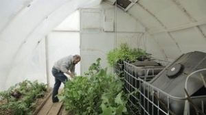 Growing food with zero heating in Holyoke